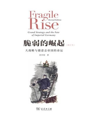 cover image of 脆弱的崛起